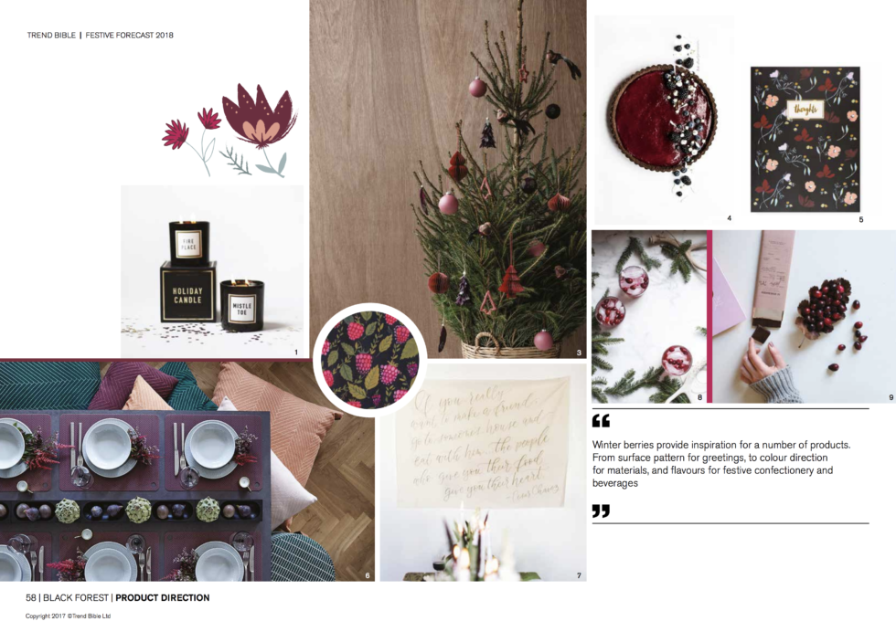 Trend Bible Festive Forecast 2018_p58(1)