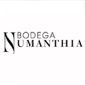 Bodegas Numanthia