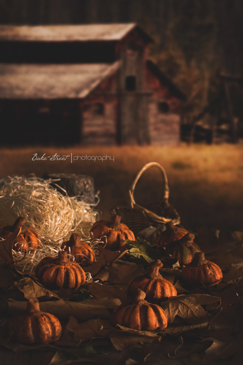 Las brujas de Salem: pumpkin cookies